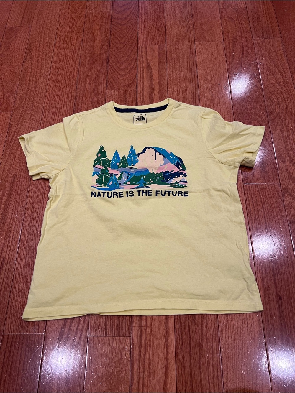 Girls THE NORTH FACE Nature is the Future Mountain Graphic T Shirt Large L 14/16
